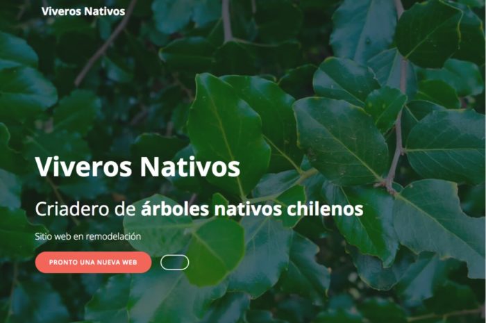 Venta de árboles nativos