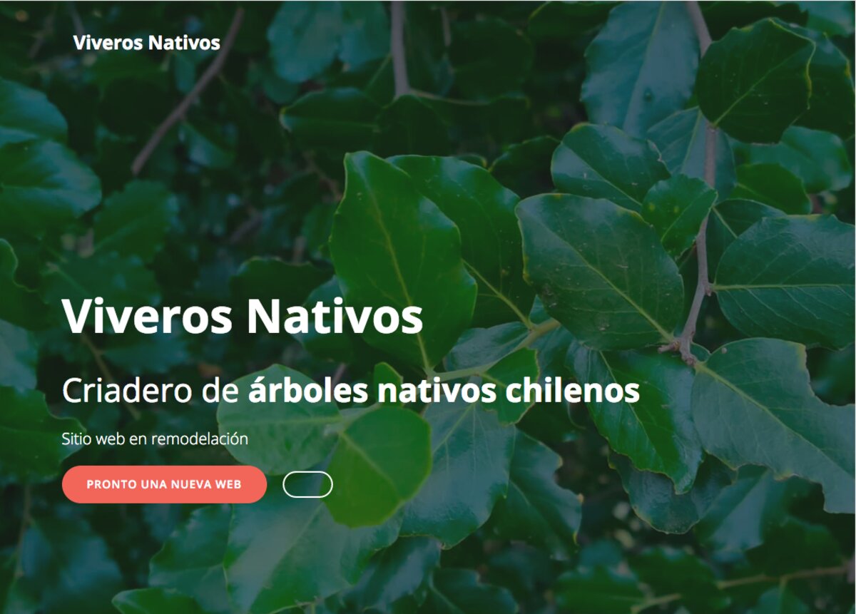 Venta de árboles nativos