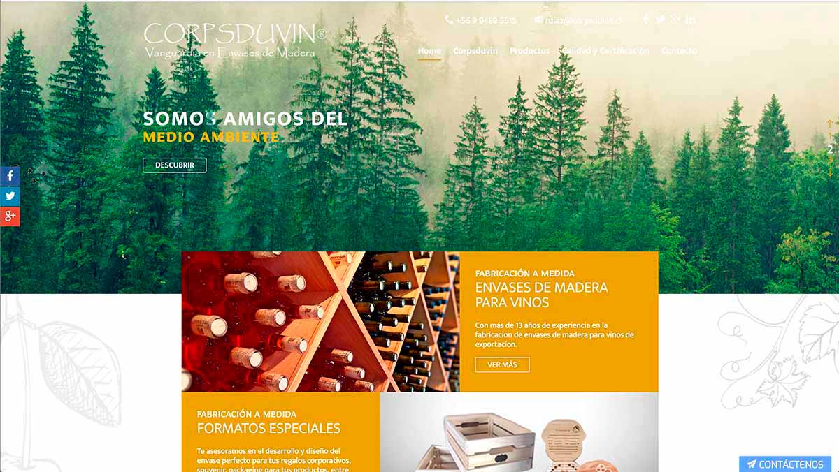 Bins de madera nuevos