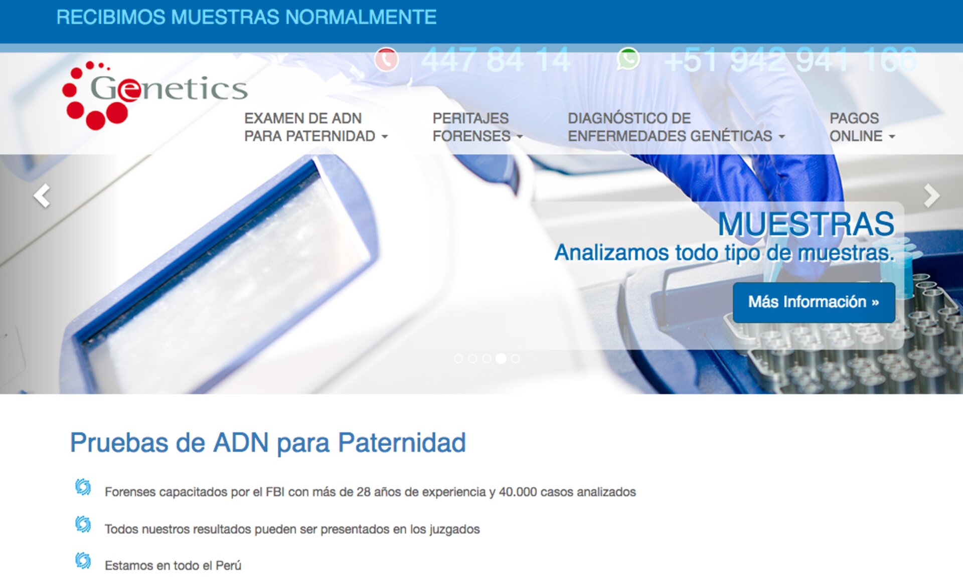 Test de AND en perú