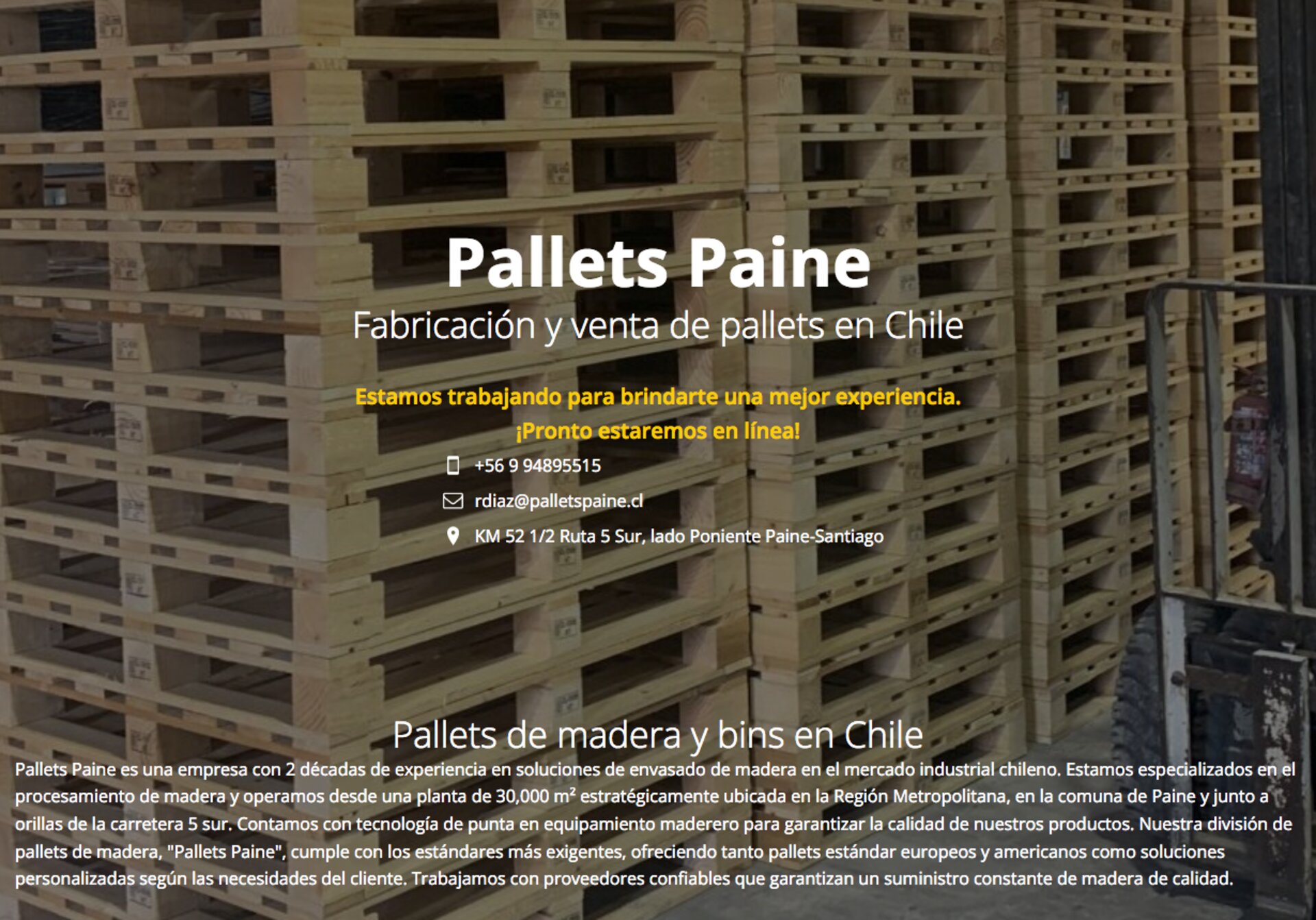 Euro pallets nuevos en santiago